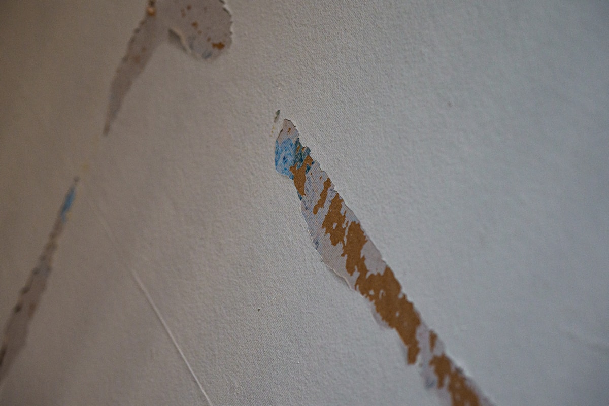 Basement Water Removal service in Tulare, CA